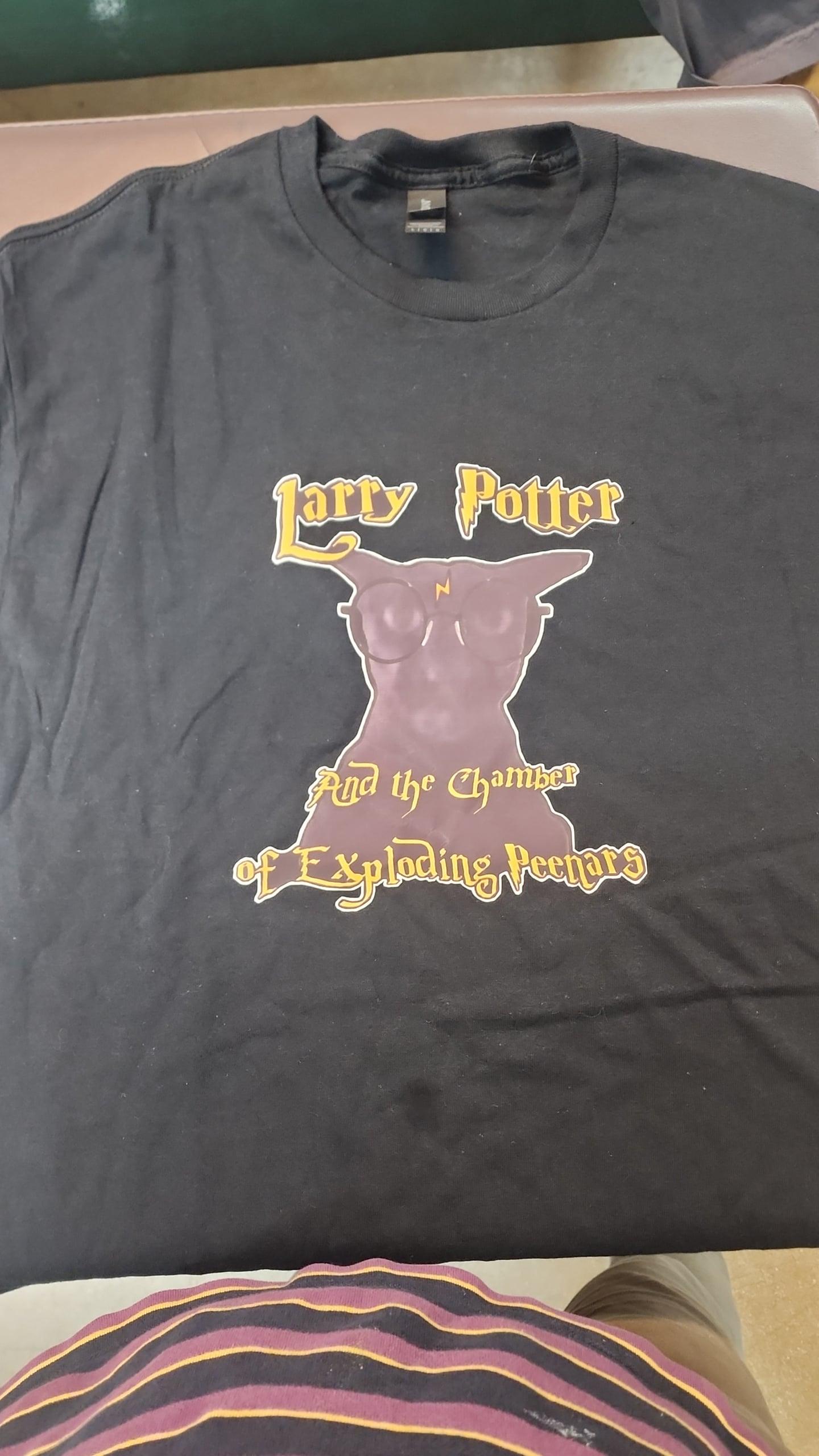 LARRY POTTER
